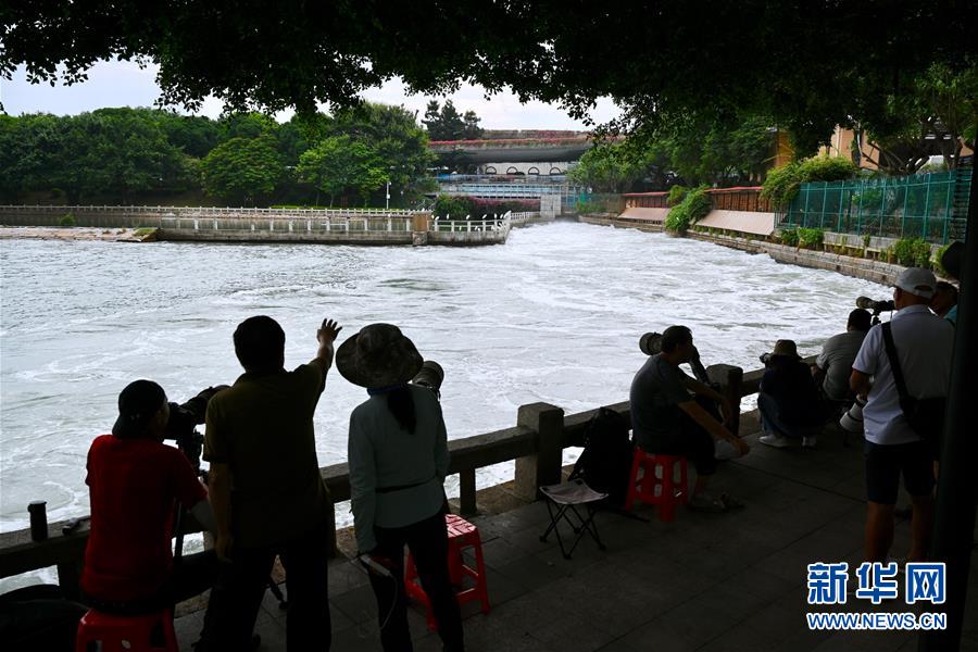 （特區(qū)40年·圖文互動）（2）高顏值的生態(tài)花園之城——廈門生態(tài)建設(shè)觀察